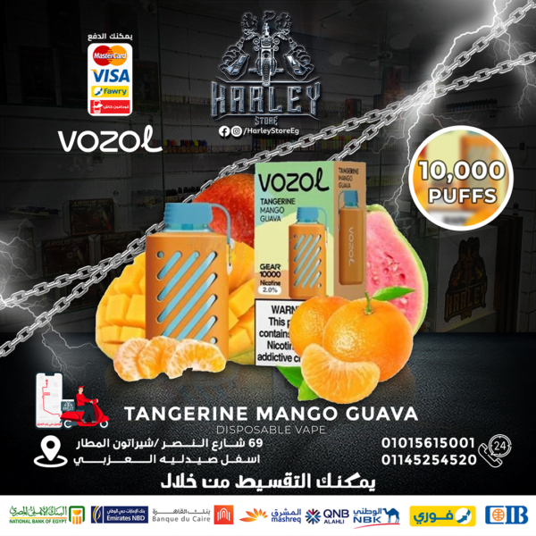 Vozol - Gear 10000 Tangerine Mango Guava