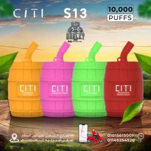 CITI S13